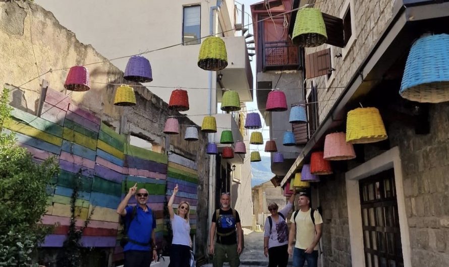 Mobility in Montenegro – Testing training modules